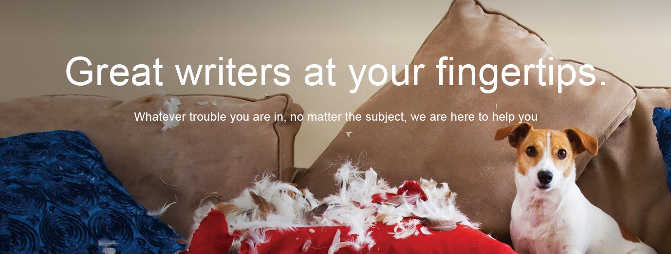 Essay writing service in the UK